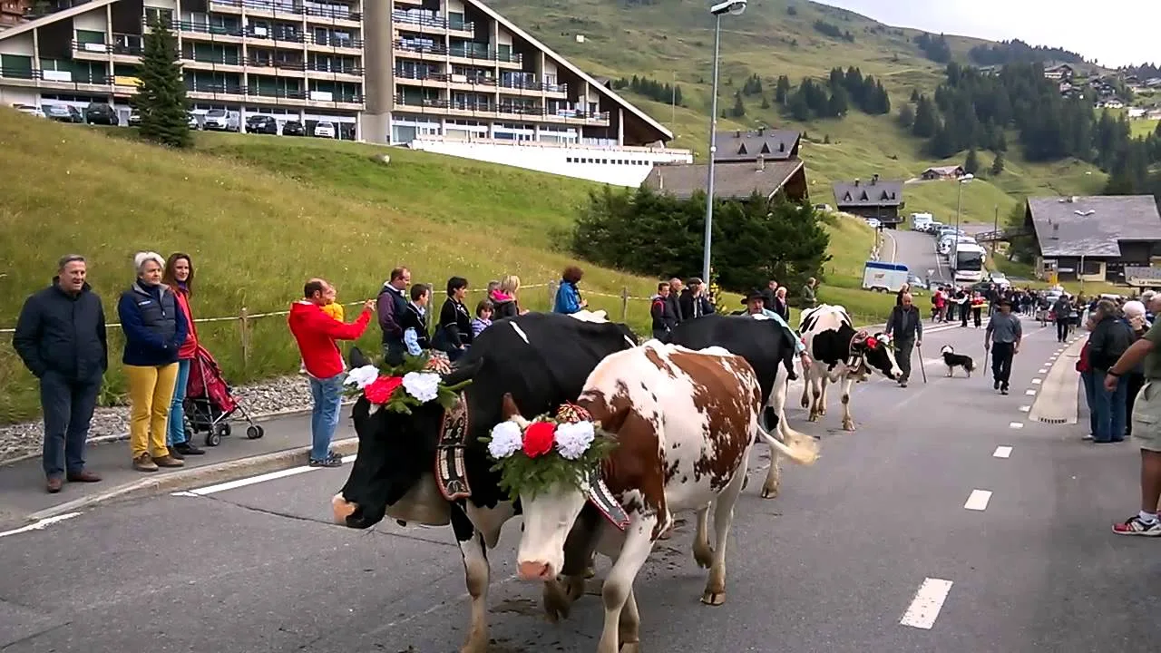 31ème Édition de la foire de bétail aux crosets